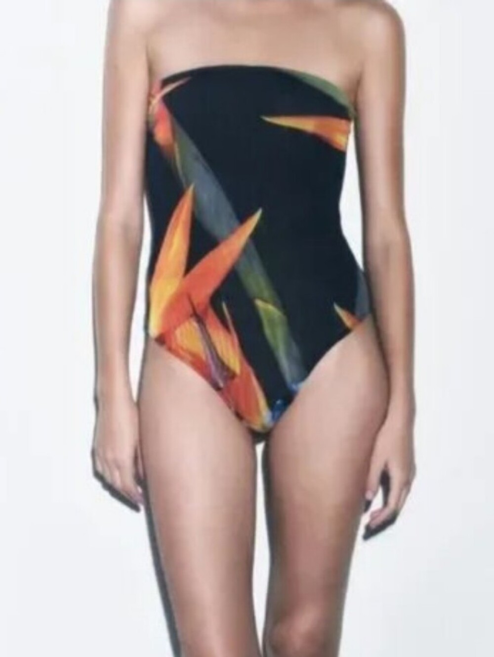 Zara Birds of Paradise Black Strapless Semi Sheer Bodysuit Size Small